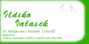 ildiko valasek business card